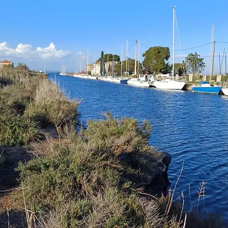 Le Confort Proche De L'etang * Marseillan (Herault)