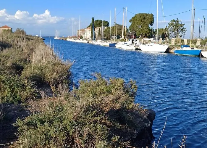 Le Confort Proche De L'etang * Marseillan (Herault)